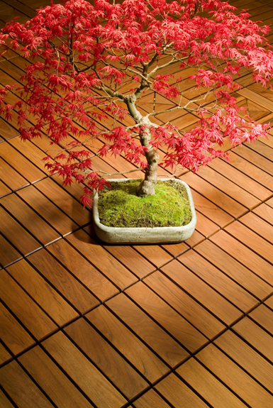 Decking Plant