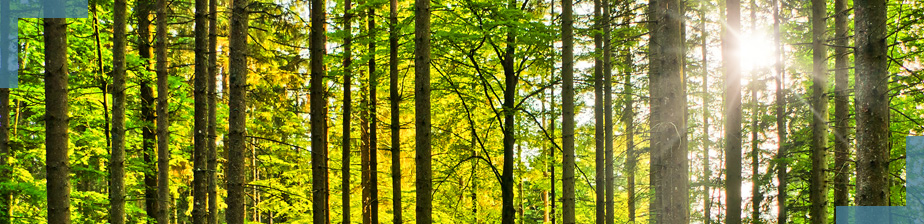 Levato Architectural Porcelain Stoneware Pavers